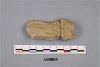 木化石藏品圖，第4張
